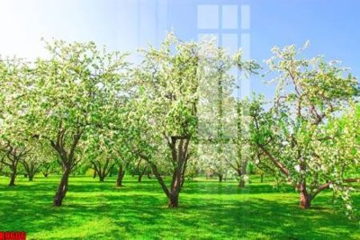 Download file gốc file tranh in treo tường file decor tổng hợp R9606 (in lụa) tranh 3D