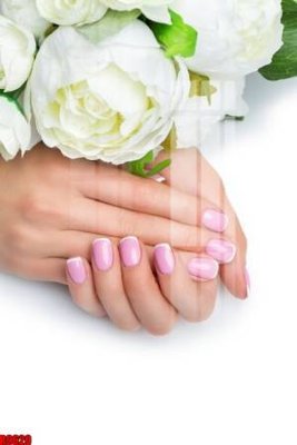 File in trần file tranh in treo tường file decor tổng hợp R9620 (file gốc) hoa văn 3D