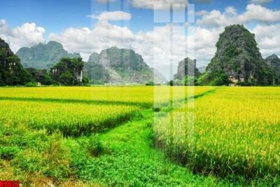 Mua file gốc file tranh in treo tường file decor tổng hợp R9622 (in ấn) tại Filetranh.com