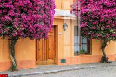 File tranh quảng cáo file tranh in treo tường file decor tổng hợp R9627 (download file gốc)