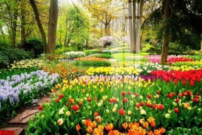 File gốc file tranh in treo tường file decor tổng hợp R9638 (trang trí) cho phòng khách