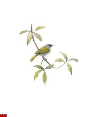 Download file tranh PSD file tranh in treo tường file decor tổng hợp R965 để chỉnh sửa