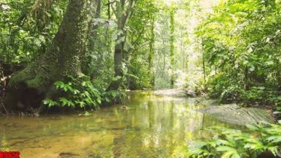 File ảnh gốc file tranh in treo tường file decor tổng hợp R9652 (chuyên in mica)