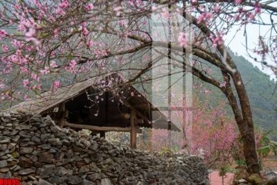 File PSD file tranh in treo tường file decor tổng hợp R9695 (gốc) tách lớp chi tiết