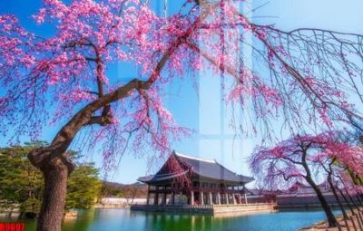 File gốc in ấn file tranh in treo tường file decor tổng hợp R9697 chất lượng vượt trội