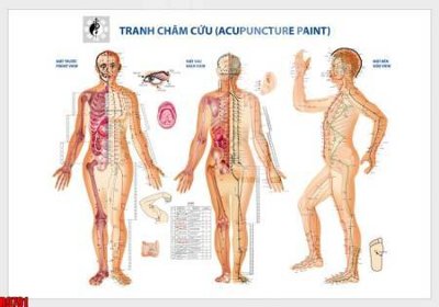 File PSD file tranh in treo tường file decor tổng hợp R9791 (bản gốc) độ phân giải cao