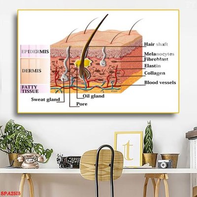 Mua file gốc Tranh trang trí Spa SPA2575 (chất lượng) tại Filetranh.com