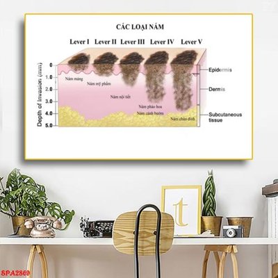 Tải file Tranh trang trí Spa SPA2869 (gốc) chủ đề hoa sen