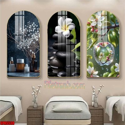 File gốc File tranh vòm spa kiểu mới SPA5538 (cho in ấn) từ kho Filetranh