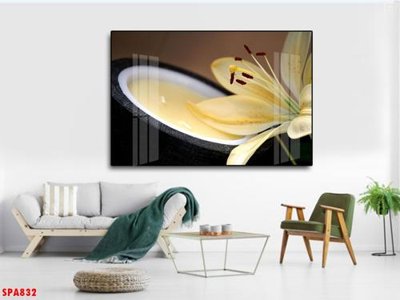 Hình ảnh file gốc in trần nhà Tranh trang trí Spa SPA832