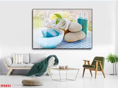 File tranh Tranh trang trí Spa SPA835 (gốc) in film