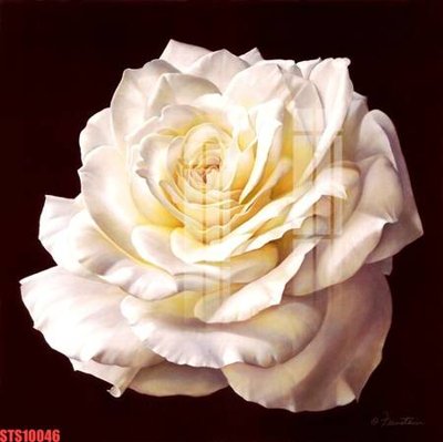 File tranh gốc Tranh sơn dầu phương tây tổng hợp STS10046 (bản quyền) Filetranh.com