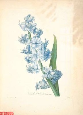 Chi tiết file gốc Tranh sơn dầu phương tây tổng hợp STS1005 (cho in tráng gương)