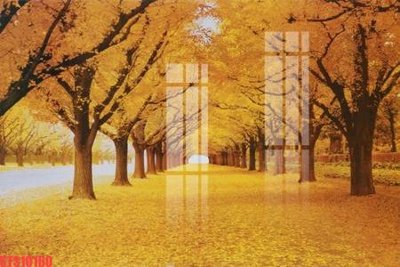 File PSD Tranh sơn dầu phương tây tổng hợp STS10160 (gốc) nhiều lớp (multi-layer)