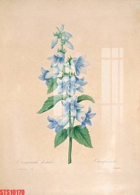 File tranh Tranh sơn dầu phương tây tổng hợp STS10170 (bản gốc) treo phòng ăn