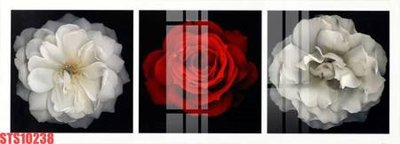 File tranh gốc Tranh sơn dầu phương tây tổng hợp STS10238 (bản quyền) độc đáo