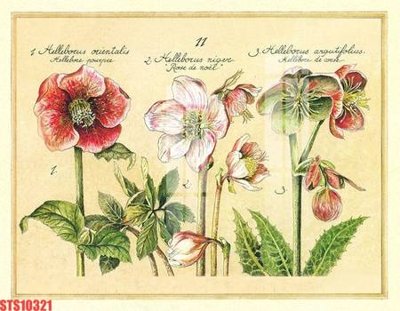 File ảnh Tranh sơn dầu phương tây tổng hợp STS10321 (gốc) in standee