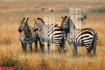 File gốc Tranh sơn dầu phương tây tổng hợp STS10331 (phong cách) tối giản