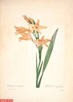 Tải file Tranh sơn dầu phương tây tổng hợp STS10341 (ảnh gốc) file TIFF