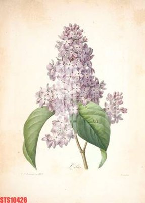 File in ấn chuyên nghiệp Tranh sơn dầu phương tây tổng hợp STS10426 (file gốc)