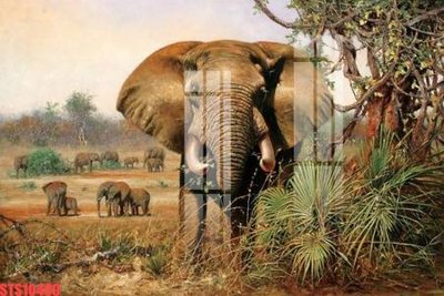 File tranh in mica Tranh sơn dầu phương tây tổng hợp STS10499 (độ phân giải cao)