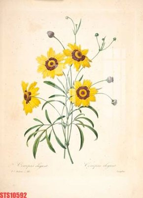 File gốc Tranh sơn dầu phương tây tổng hợp STS10592 (in tráng gương) nghệ thuật