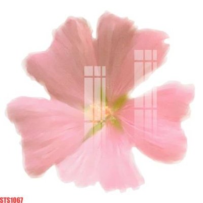 File in ấn Tranh sơn dầu phương tây tổng hợp STS1067 (bản gốc) cao cấp