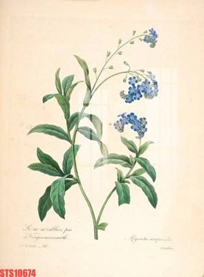 File tranh Tranh sơn dầu phương tây tổng hợp STS10674 (bản gốc) in lụa 5D