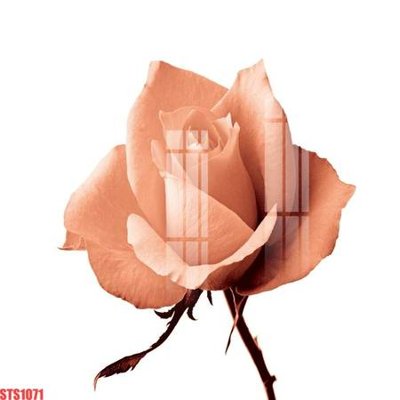 File gốc Tranh sơn dầu phương tây tổng hợp STS1071 (in lụa) tranh mã đáo