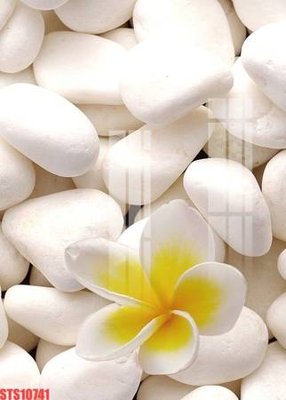 File gốc Tranh sơn dầu phương tây tổng hợp STS10741 (in 3D) nghệ thuật