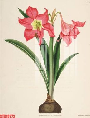 Tải file Tranh sơn dầu phương tây tổng hợp STS10773 (gốc) làm tranh treo tường