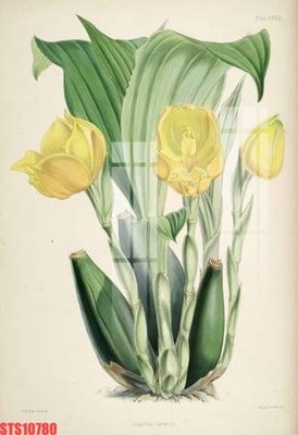 File tranh gốc in trần nhà Tranh sơn dầu phương tây tổng hợp STS10780 3D