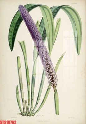 File in mica Tranh sơn dầu phương tây tổng hợp STS10782 (bản gốc) siêu trong