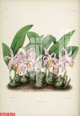 File gốc Tranh sơn dầu phương tây tổng hợp STS10793 (in lụa) cao cấp