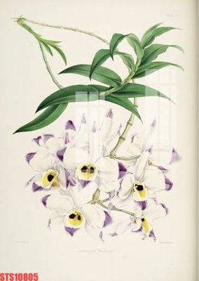 Download file ảnh gốc Tranh sơn dầu phương tây tổng hợp STS10805 để in ấn