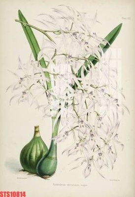 Download file tranh Tranh sơn dầu phương tây tổng hợp STS10814 (file gốc PSD)