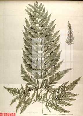 File in ấn Tranh sơn dầu phương tây tổng hợp STS10844 (bản gốc) sắc nét