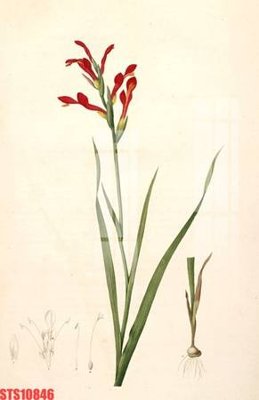 Tải file Tranh sơn dầu phương tây tổng hợp STS10846 (gốc) làm file in ấn