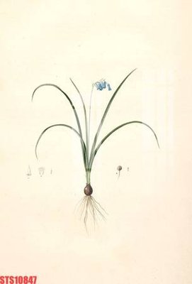 File gốc Tranh sơn dầu phương tây tổng hợp STS10847 (AI/EPS) cho in ấn