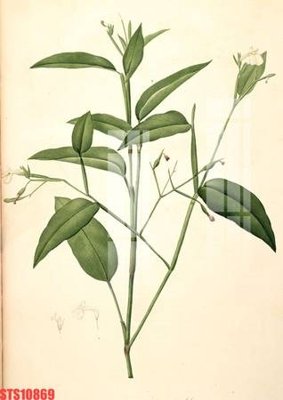 File gốc Tranh sơn dầu phương tây tổng hợp STS10869 (cho in UV) siêu nét