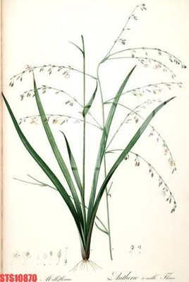 File tranh ảnh gốc Tranh sơn dầu phương tây tổng hợp STS10870 dùng cho in khổ lớn