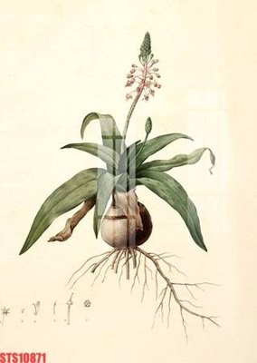 File gốc Tranh sơn dầu phương tây tổng hợp STS10871 (ảnh rõ nét) để in