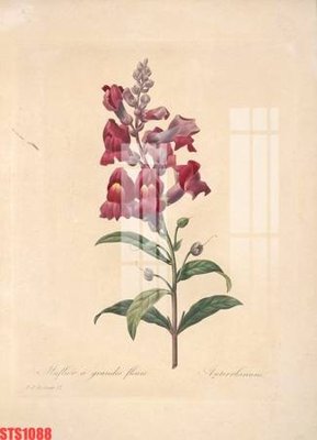 Cung cấp file tranh gốc Tranh sơn dầu phương tây tổng hợp STS1088 độc quyền