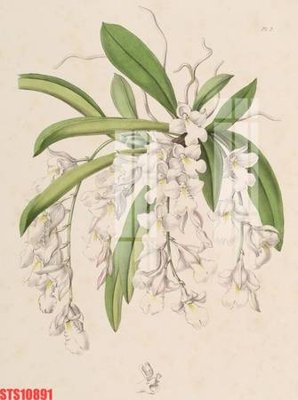 File gốc Tranh sơn dầu phương tây tổng hợp STS10891 (dành cho trang trí nội thất)