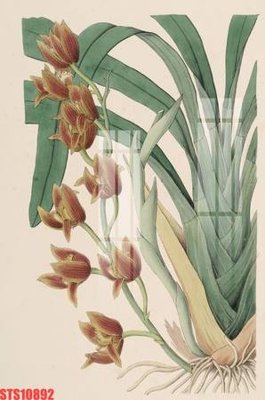 Tải file Tranh sơn dầu phương tây tổng hợp STS10892 (gốc) làm file tranh quảng cáo