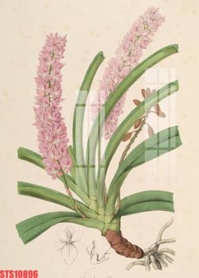 File gốc in tráng gương Tranh sơn dầu phương tây tổng hợp STS10896 chi tiết