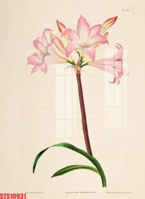 File gốc Tranh sơn dầu phương tây tổng hợp STS10931 (in lụa) chi tiết cao