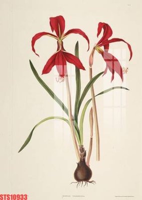 Tải về file gốc Tranh sơn dầu phương tây tổng hợp STS10933 (dùng cho in quảng cáo)