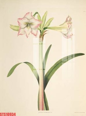 File PSD Tranh sơn dầu phương tây tổng hợp STS10934 (bản gốc) độ phân giải cao