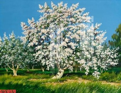 File PSD Tranh sơn dầu phương tây tổng hợp STS10970 (gốc) tách lớp chi tiết